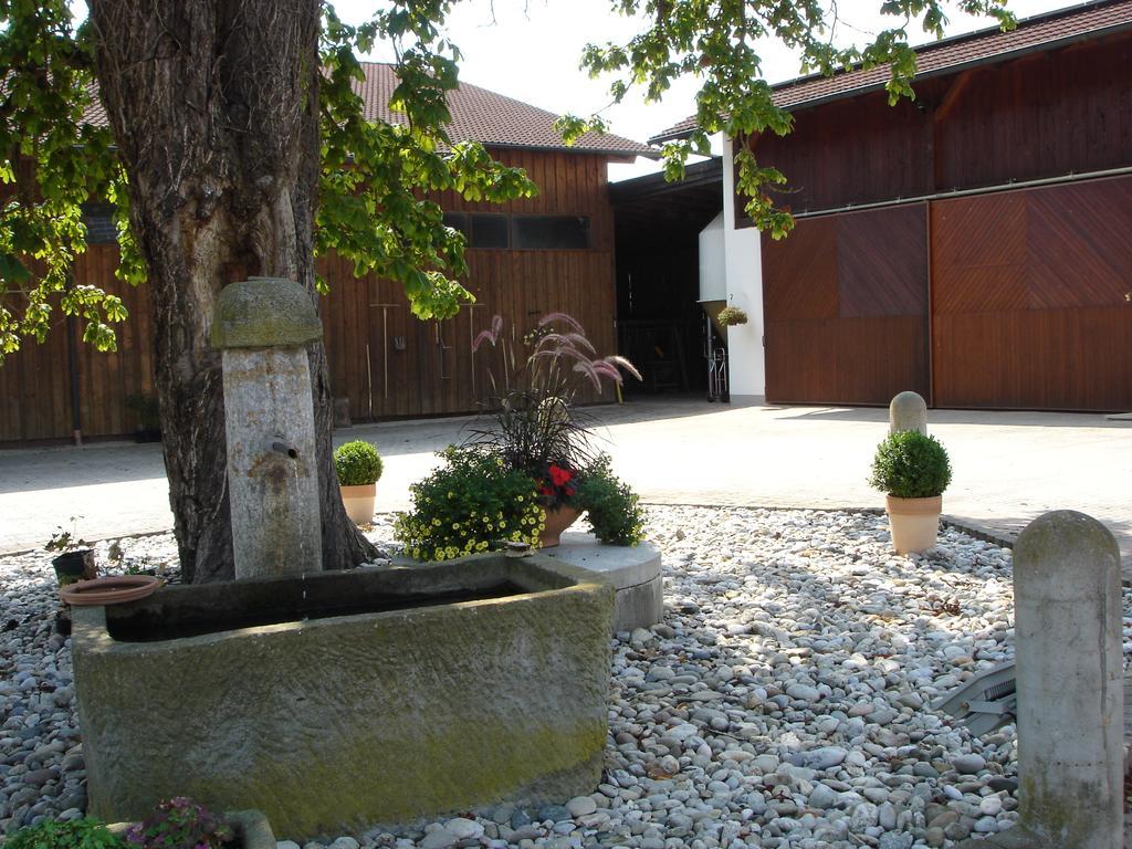 Gaestehaus Wildgehege Wilhelm Extérieur photo